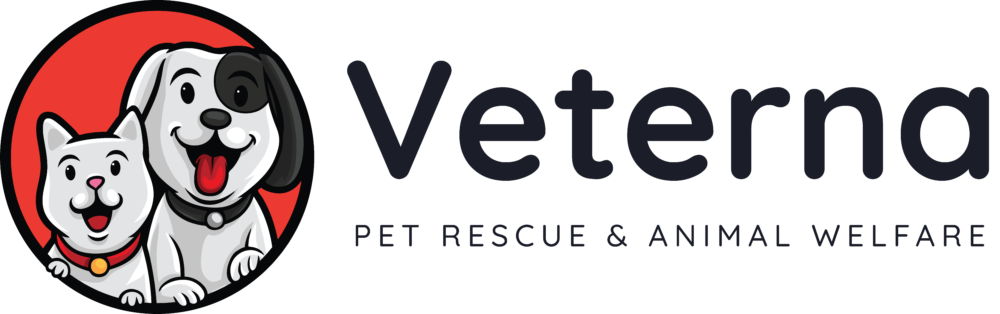 zicoo - My WordPress Blog